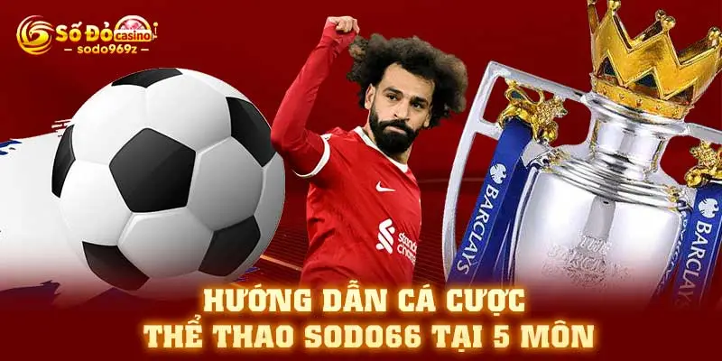 Hướng dẫn cá cược thể thao SODO66 tại 5 môn