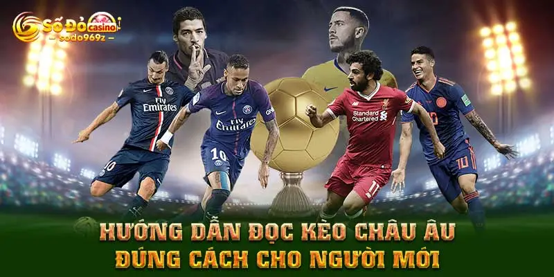 Hướng dẫn đọc kèo Châu Âu đúng cách cho người mới