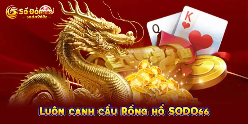 Luôn canh cầu Rồng hổ SODO66