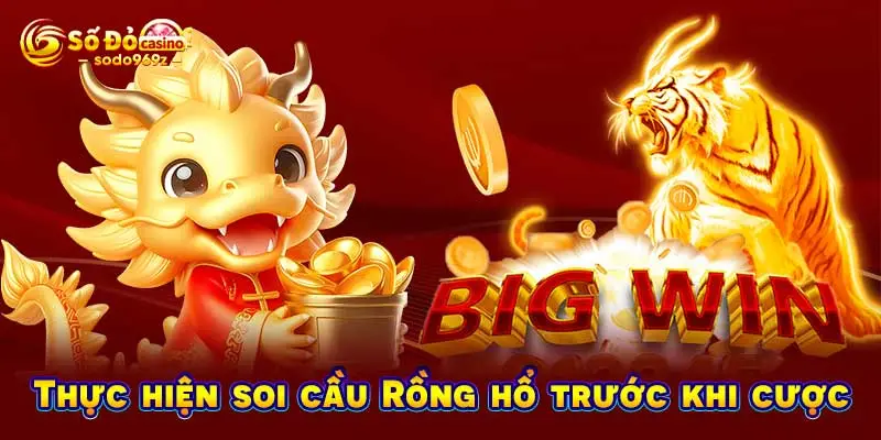 Thực hiện soi cầu Rồng hổ trước khi cược