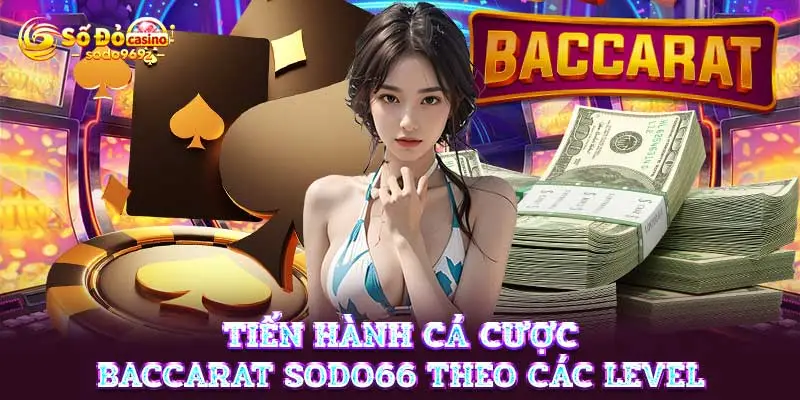 Tiến hành cá cược Baccarat SODO66 theo các level