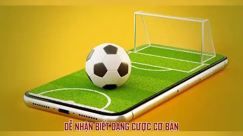 Dễ nhận biết dạng cược cơ bản